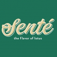 Logo Nhà hàng Senté - The Flavor of Lotus