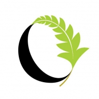 Logo Rainforest