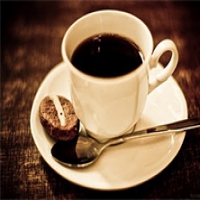 Logo Quán Café Cây Tùng