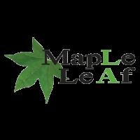 Logo CÔNG TY TNHH TM LÁ PHONG