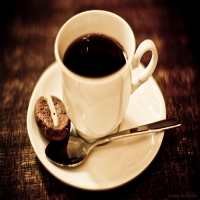 Logo Café The Store