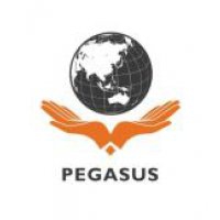 Logo Công ty cổ phần tư vấn và đầu tư Pegasus