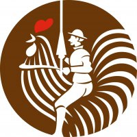 Logo CÔNG TY TNHH APGUJEONG VIỆT NAM (DON CHICKEN)
