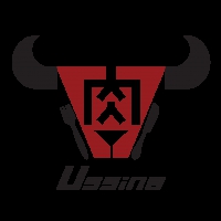 Logo Ussina