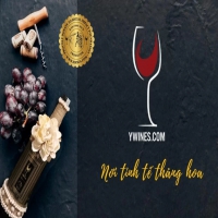 Logo Showroom YWines