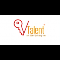 Logo CÔNG TY TNHH TÀI NĂNG VIỆT