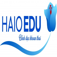 Logo HAIO EDUCATION