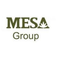 Logo CHI NHÁNH CÔNG TY TNHH DỊCH VỤ VÀ THƯƠNG MẠI MESA