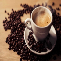 Logo Coffee Shop
