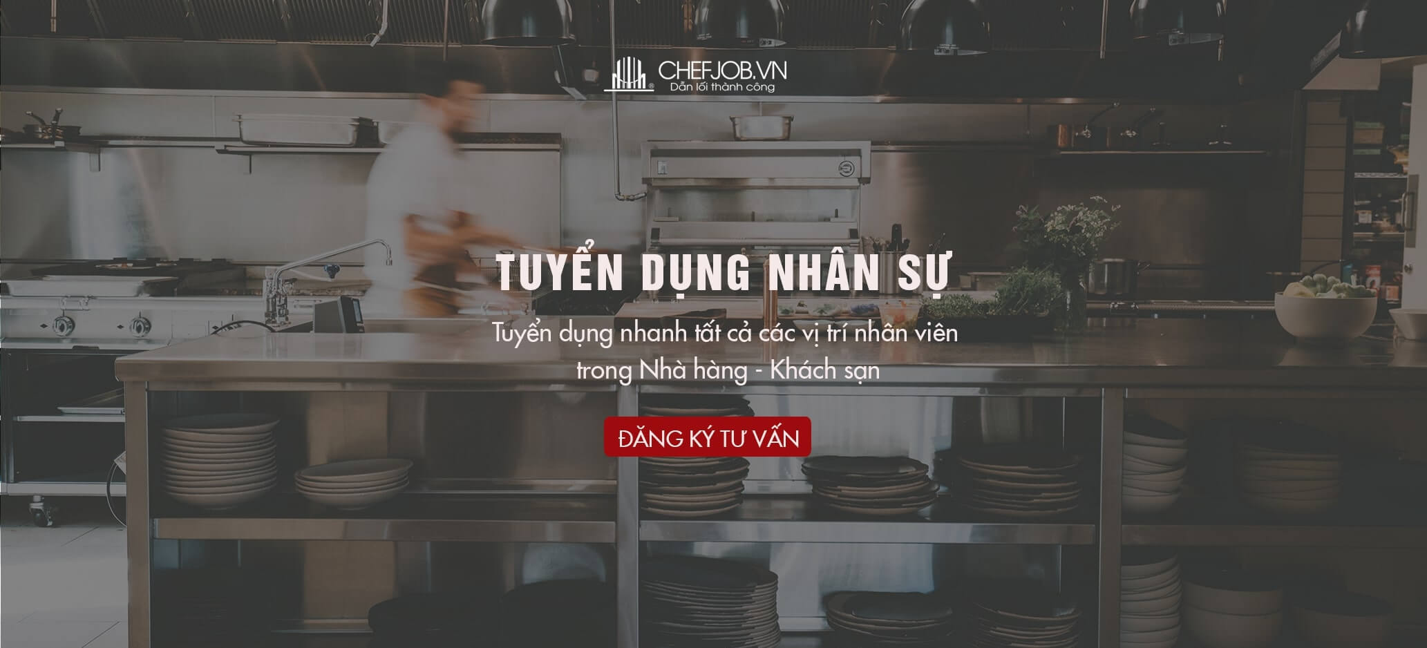 Dịch vụ tuyển dụng nhân sự