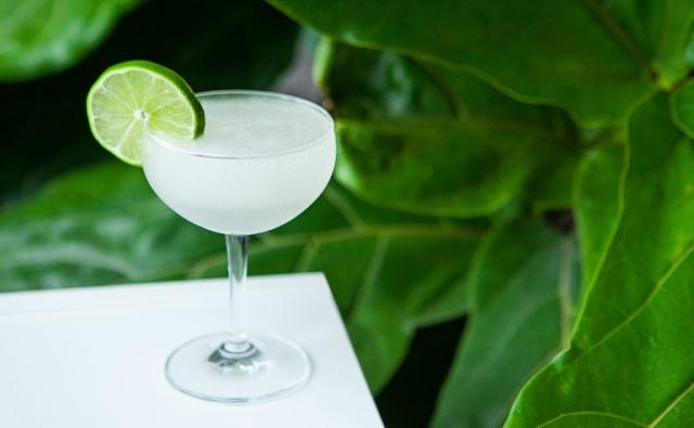 Daiquiri tao nen boi su ngau hung cua mot chang ky su