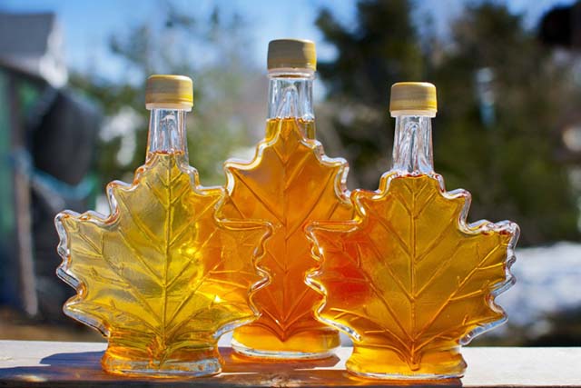 Maple Syrup siro tu nhua cay phong o canada