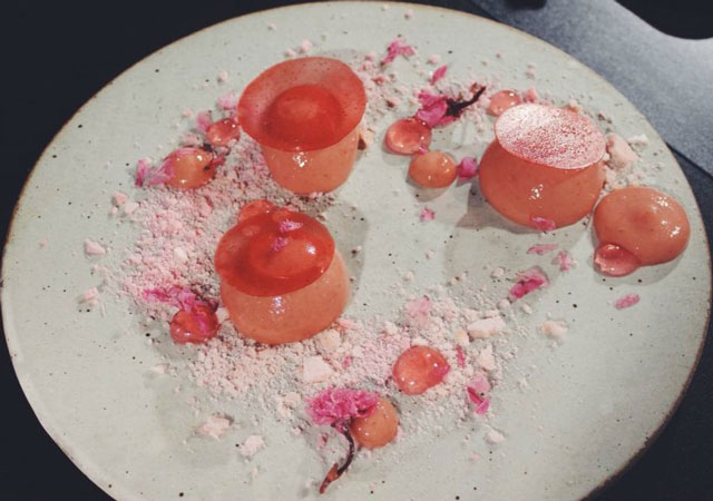 banh ngot tai sola do hironobu fukano