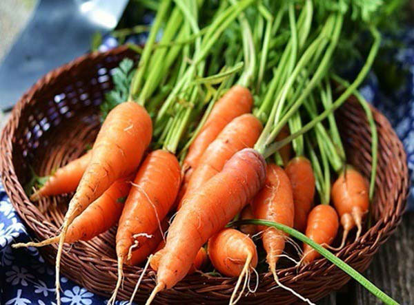 Cà rốt tạo thành Caramen