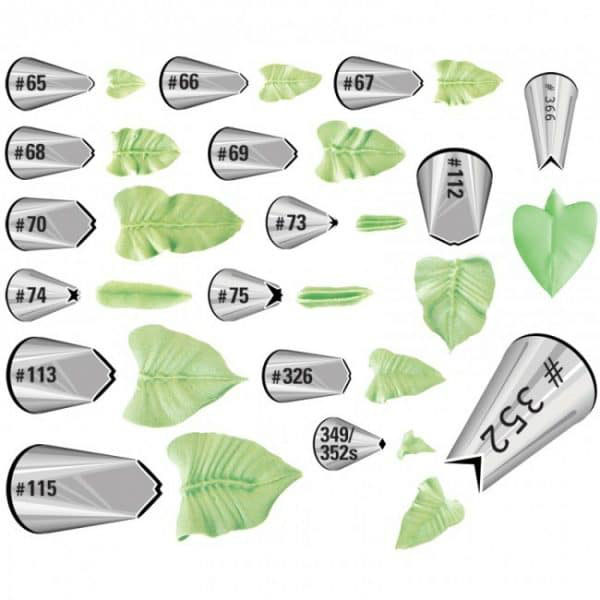 Đui lá là một trong những loại đui phổ biến 