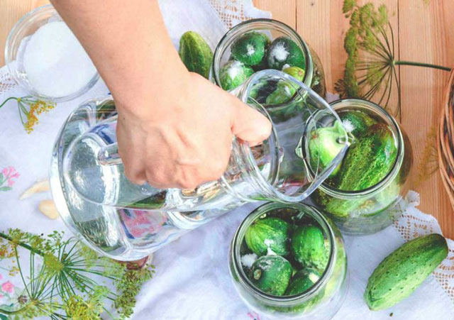 giam trang white vinegar