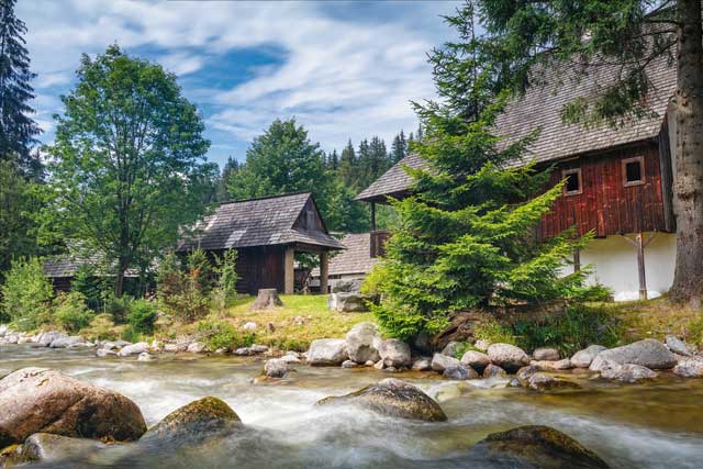 hoa minh vao thien nhien