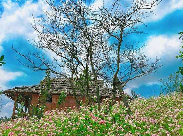 nha o mu cang chai eco lodge