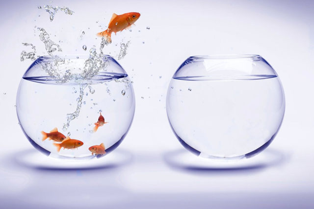 Nhảy việc mang đến nhiều cơ hội cùng thách thức