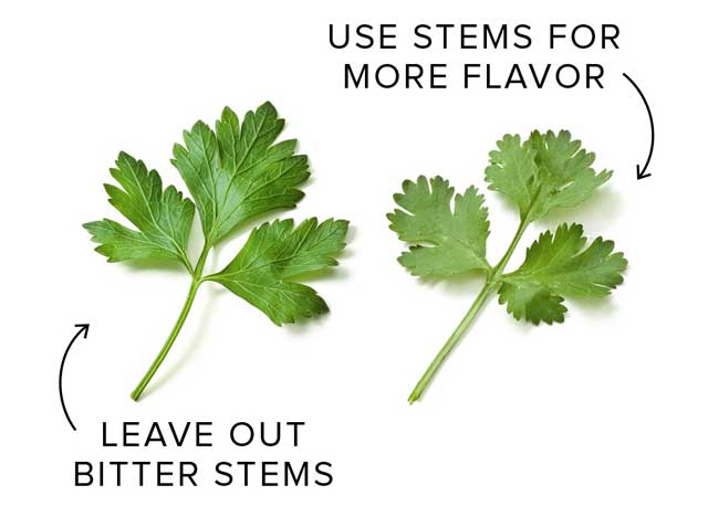 phan biet parsley va cilantro